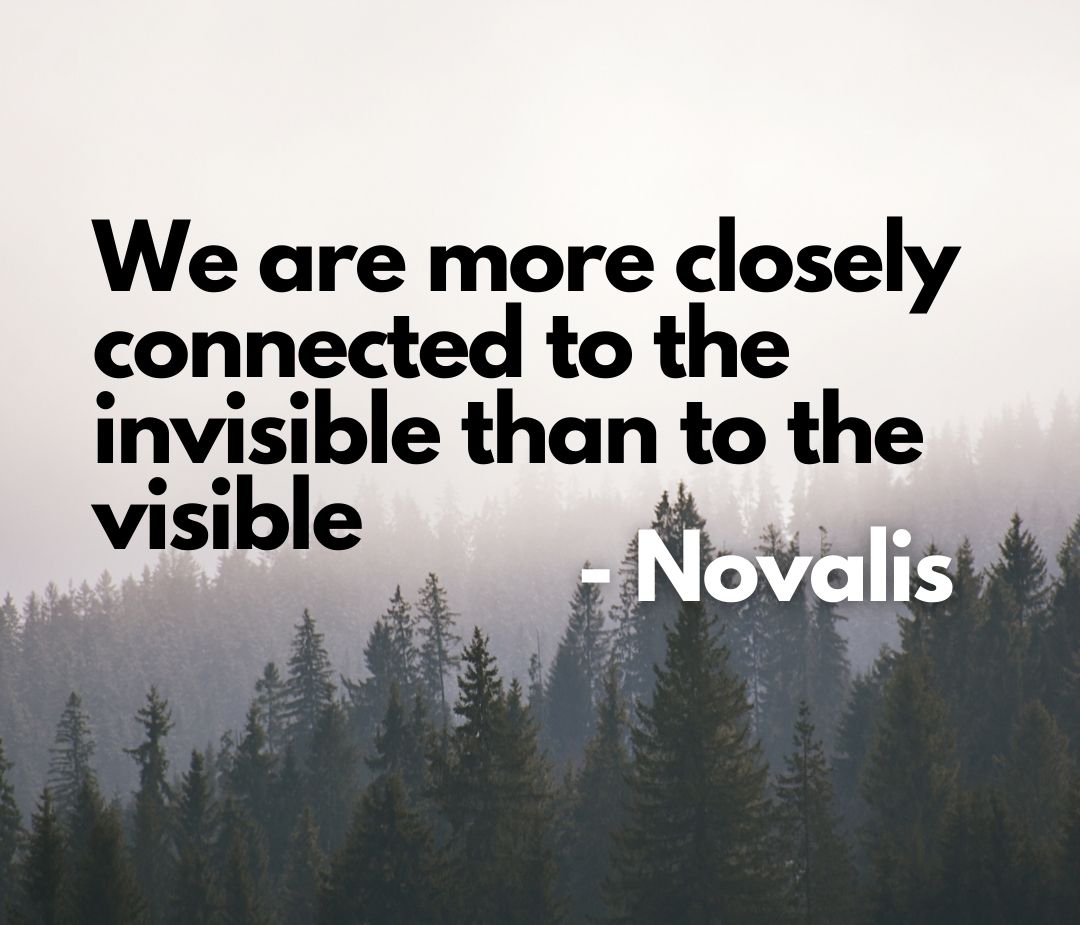 How Visible and Invisible Forces Shape Culture